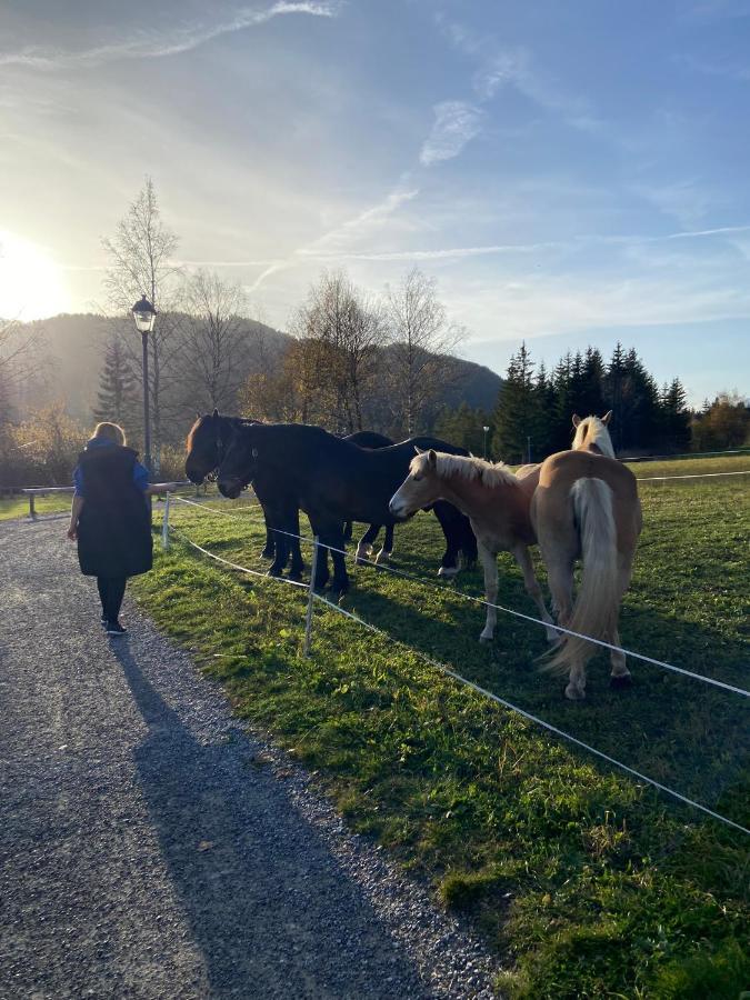 Fewo Sonnenschein Weissbriach Bagian luar foto